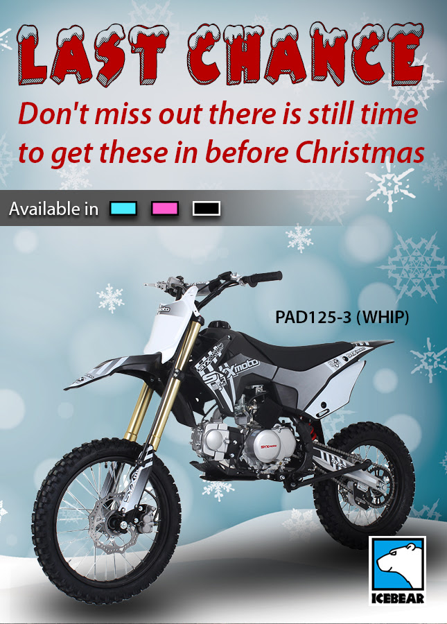 ICE BEAR WHIP (PAD125-3) 125CC DIRT BIKE