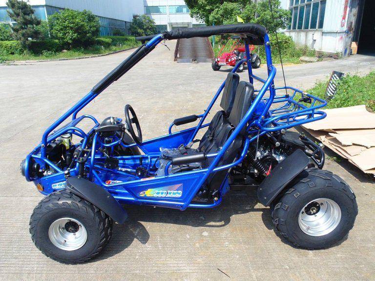 TrailMaster 300XRS EFI