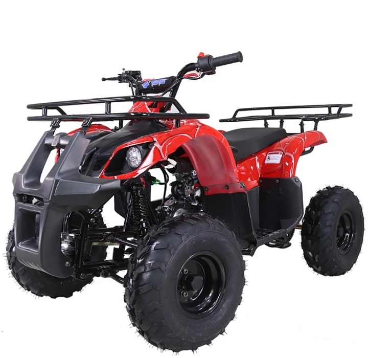 Квадрик 125 кубов. Квадроцикл tao Motor 125. Atv Rhino 110cc квадроцикл. Atv_107. Atv 125 BMW.