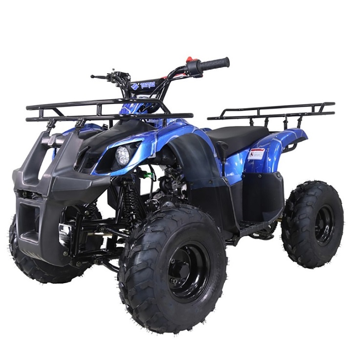 taotao 4wheeler