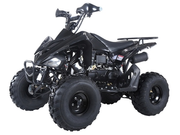 TAOTAO ATA-150G ATV