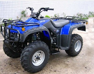 Monster 250 cc  ATV shaft drive