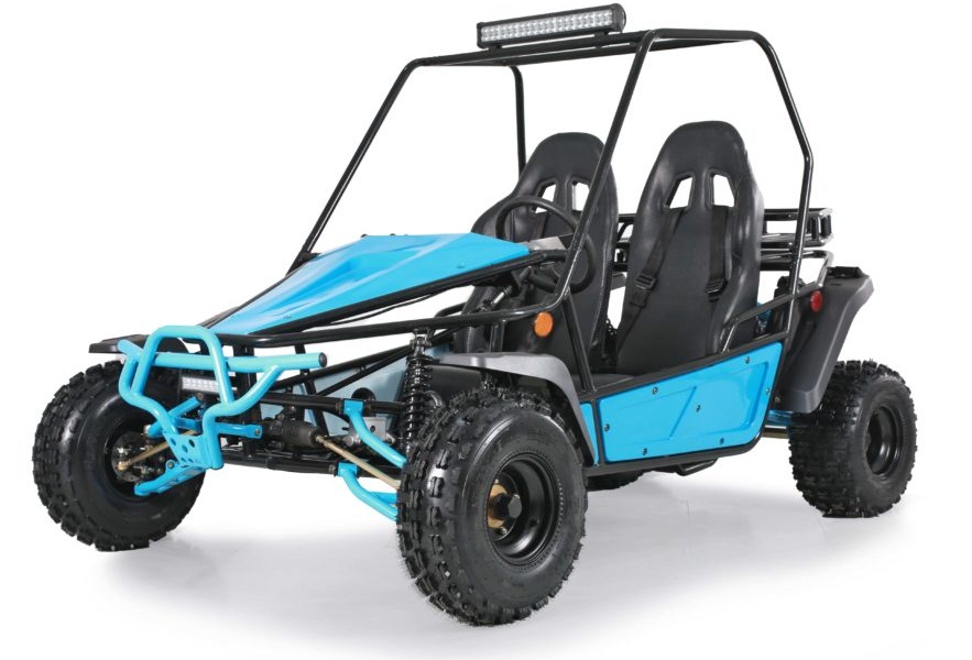 The Tao Motor BAJA SPORT 200 Go Kart Online At | Arlingtonpowersports