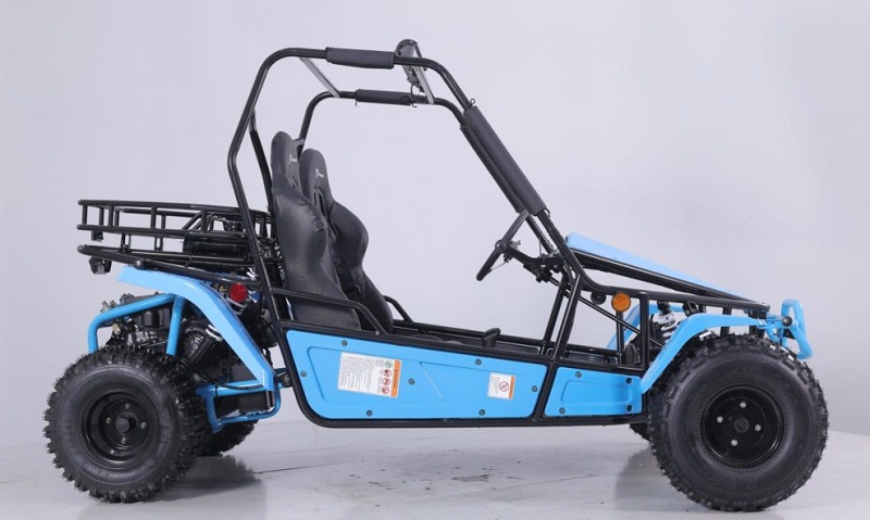 Baja 250 hot sale go kart