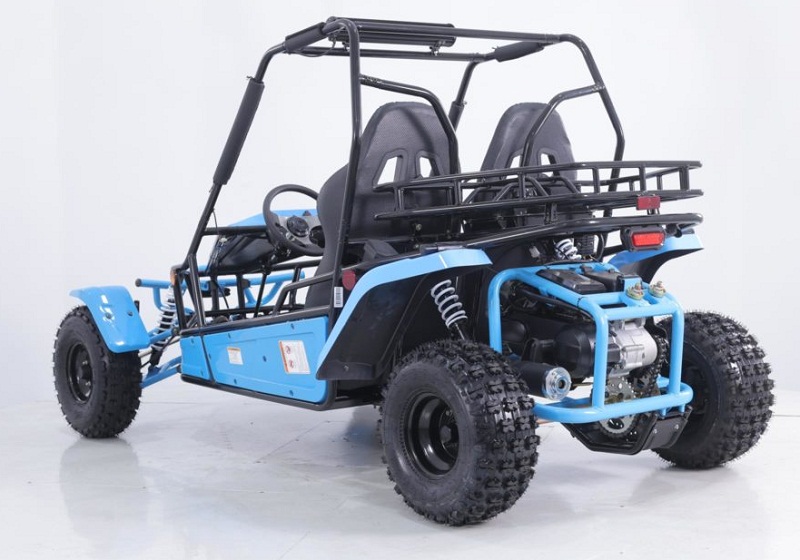 Buy New Taotao BAJA SPORT 200 Go Kart For Sale Online | Lowest Price Atv