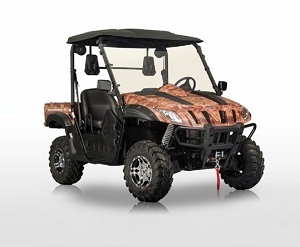 BMS Ranch Pony 600 EFI, 594cc, 37 HP, EFI - Water and Oil Cooled Engine