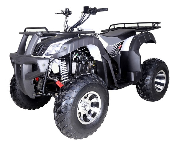 TAOTAO BULL-200 ATV