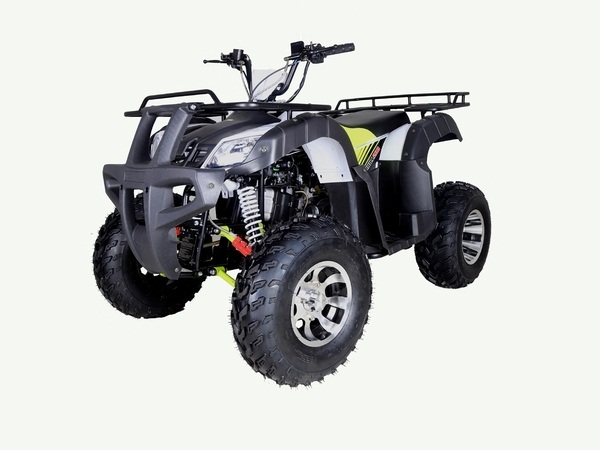 TAOTAO BULL-200 ATV