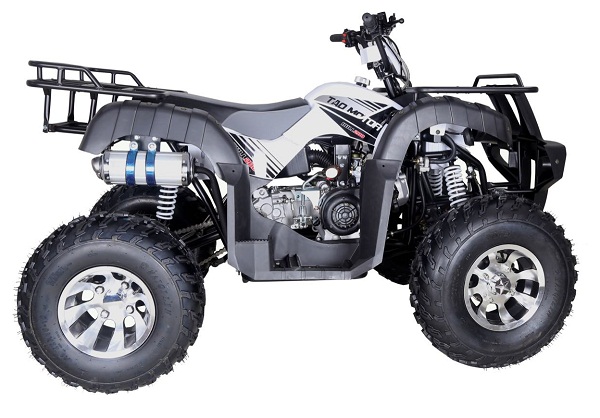 TAOTAO BULL-200 ATV