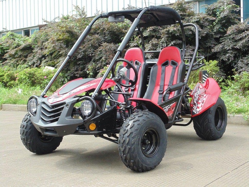 TrailMaster Blazer 200