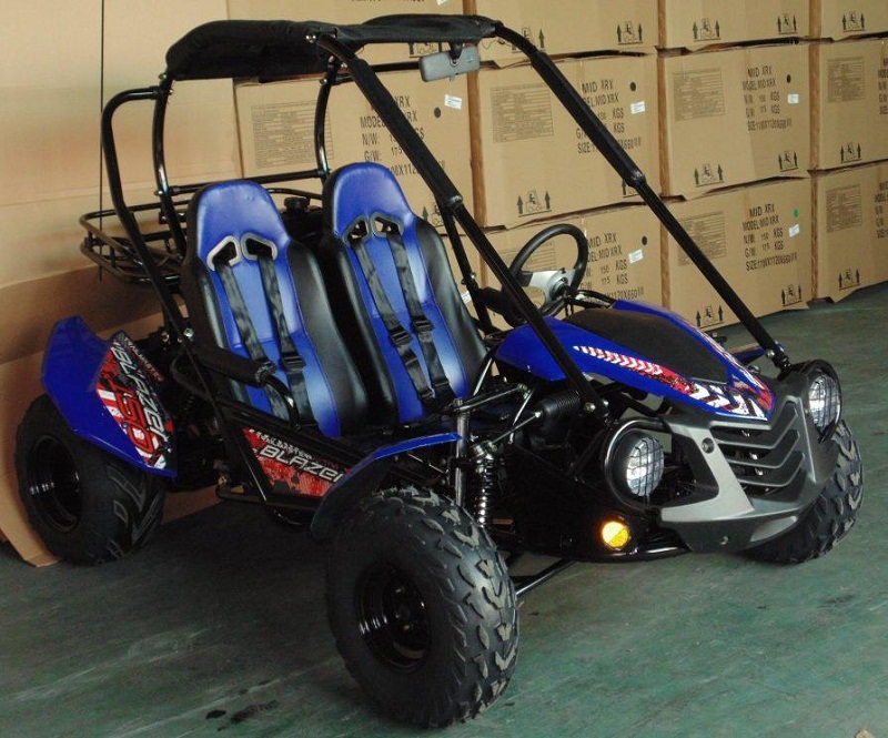 TrailMaster Blazer 200