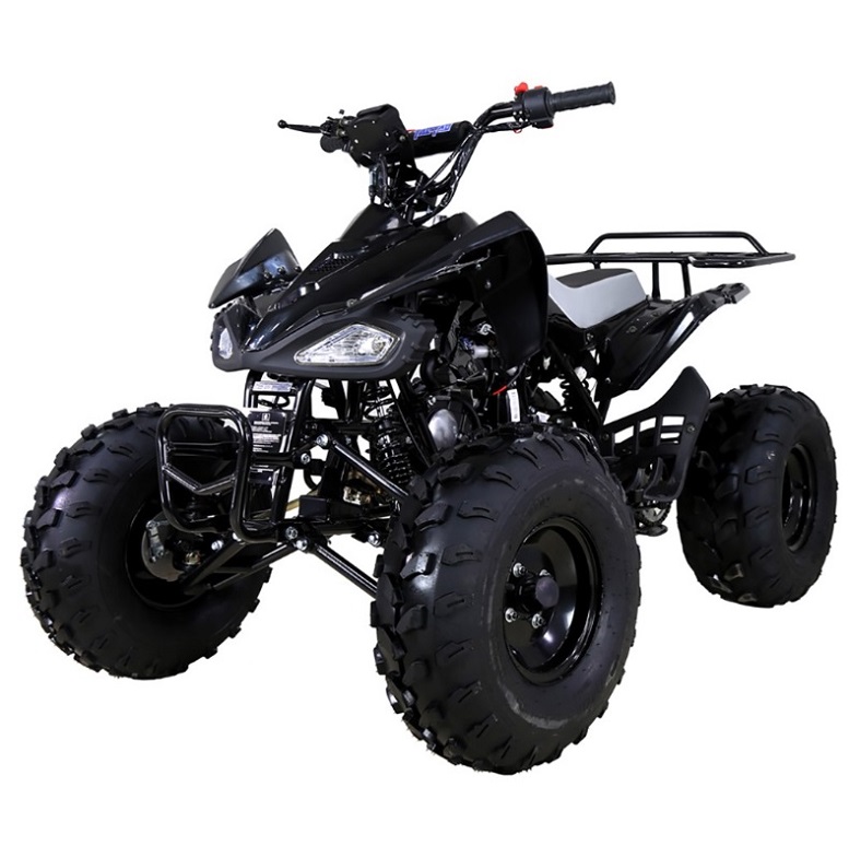 Buy Tao Tao 125 ATV ata-125 CHEETAH Online at lowestpriceatv.com