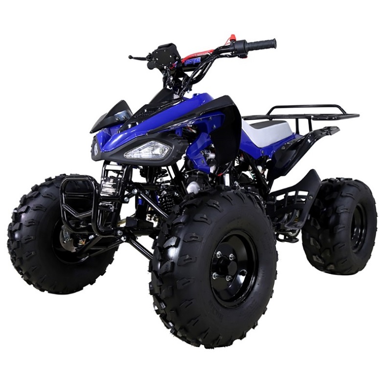 Buy Tao Tao 125 ATV ata-125 CHEETAH Online at lowestpriceatv.com