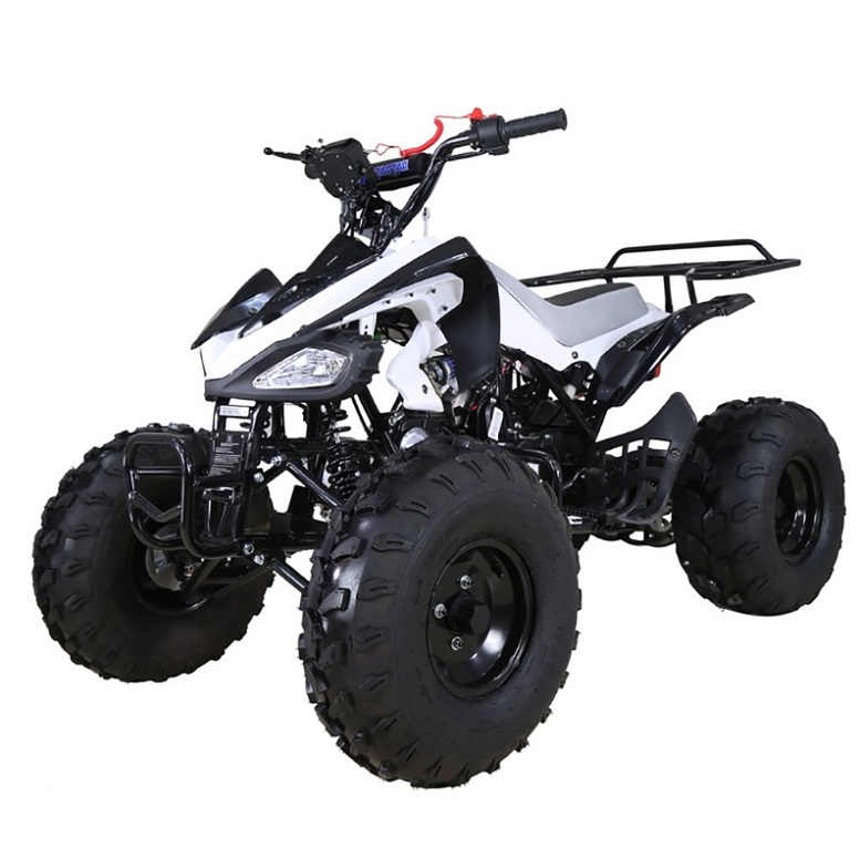 Tao Tao 125 ATV ata-125 CHEETAH | TaoTao CHEETAH 125cc Online