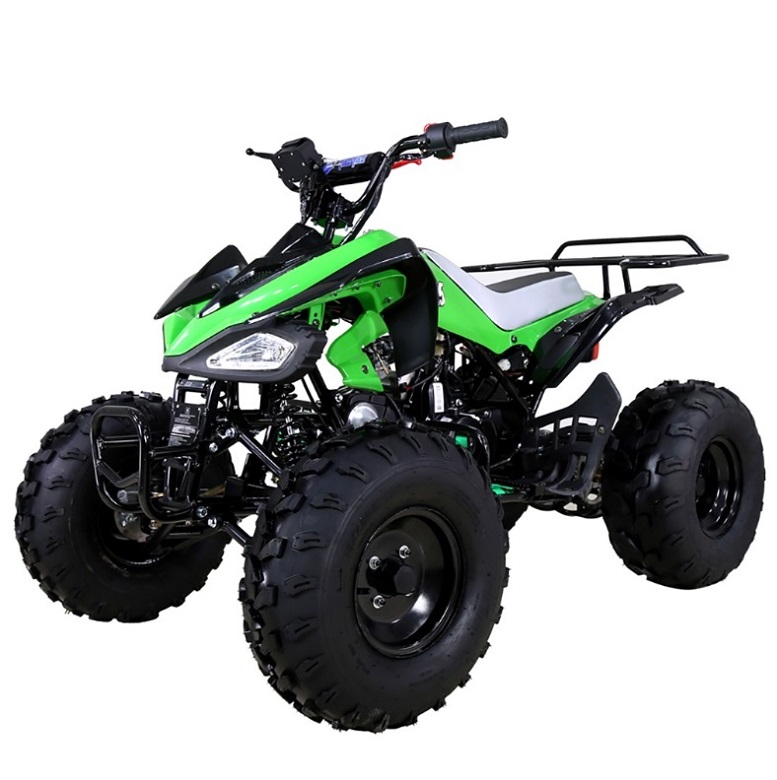 Buy Tao Tao 125 ATV ata-125 CHEETAH Online at lowestpriceatv.com