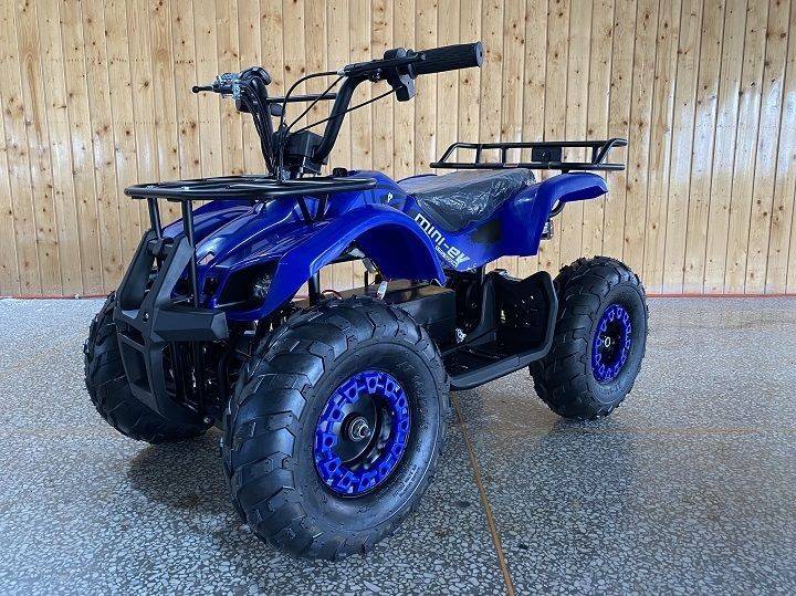 DONGFANG-500W-ELECTRIC-ATV