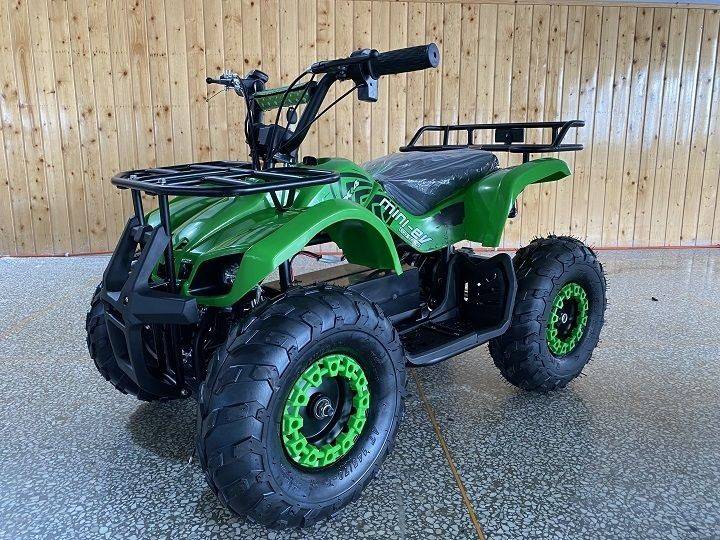 DONGFANG-500W-ELECTRIC-ATV