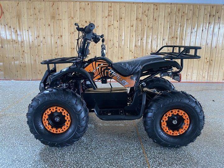 DONGFANG-500W-ELECTRIC-ATV