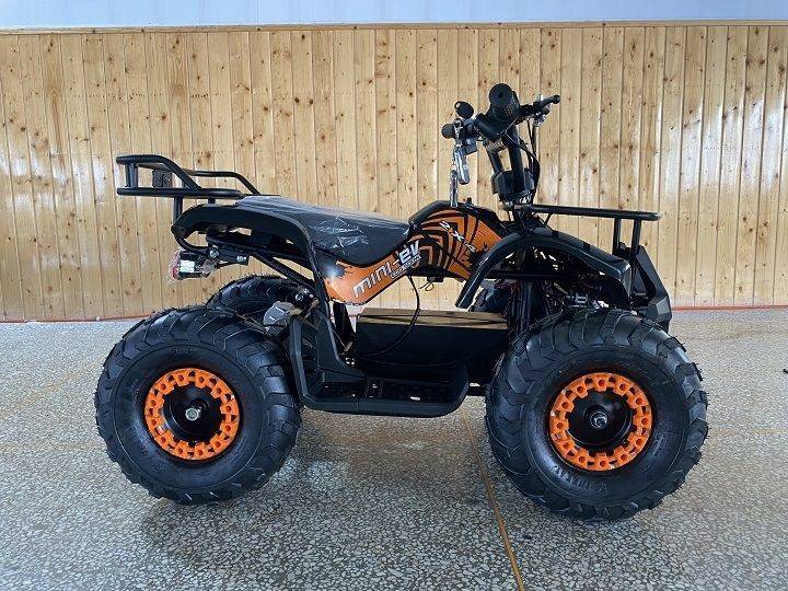 DONGFANG-500W-ELECTRIC-ATV