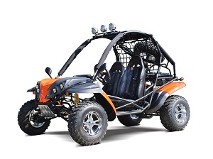 Dongfang DF200GKR 168.9CC Go Kart, Single Cylinder, Horizontal Type, 4