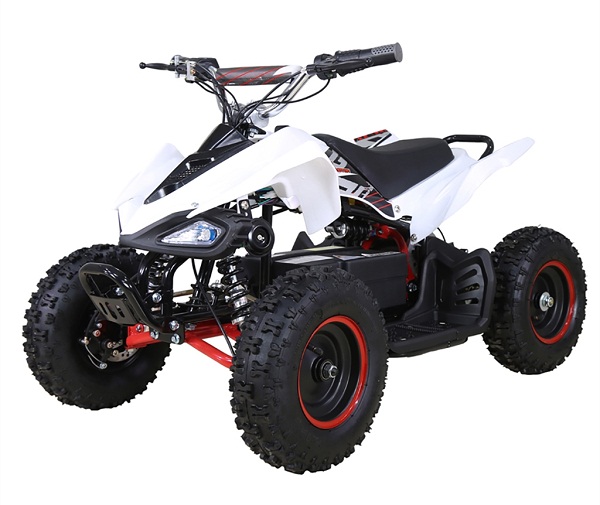 TAOTAO E1-500 ATV