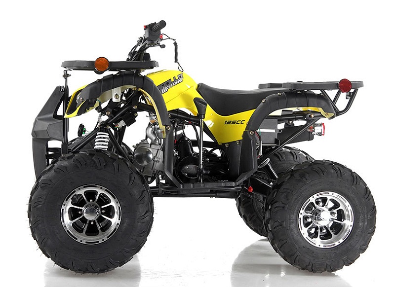 Apollo Focus-10 DLX 125 cc ATV