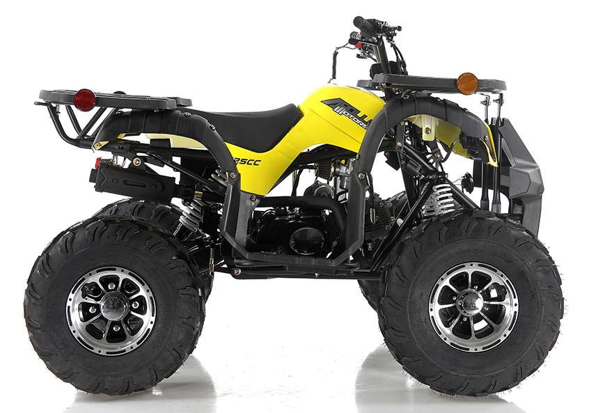 Apollo Focus-10 DLX 125 cc ATV