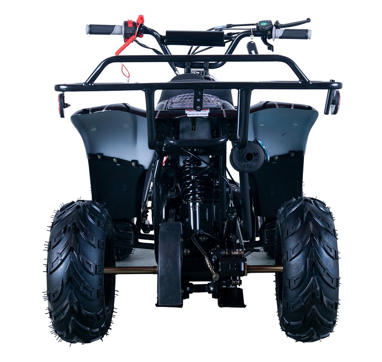 VITACCI HAWK-6 110CC ATV