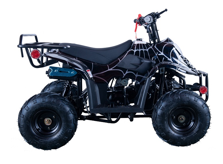 VITACCI HAWK-6 110CC ATV