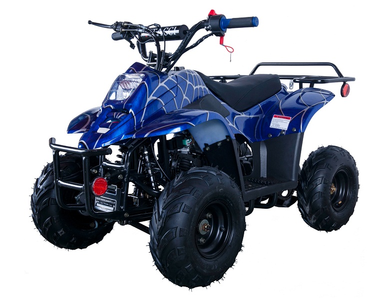 VITACCI HAWK-6 110CC ATV