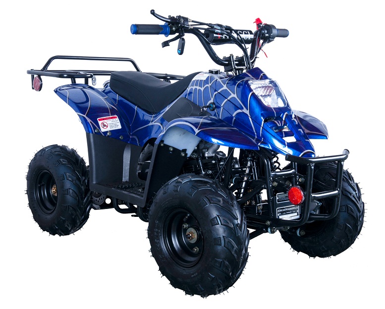 Tao Motors, Mudhawk 6, Quad à Essence (110cc) (4 Temps) (5 Ans+) —