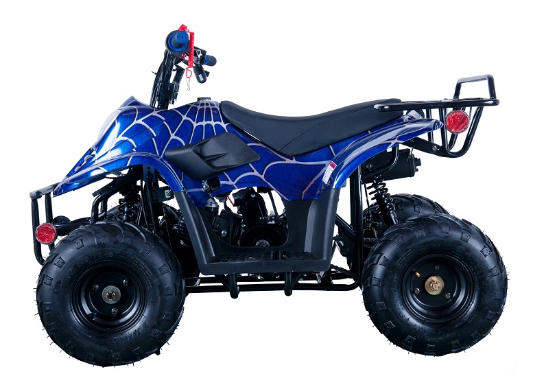 VITACCI HAWK-6 110CC ATV