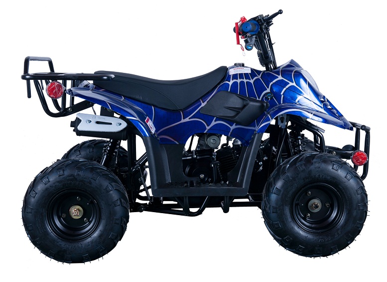 VITACCI HAWK-6 110CC ATV