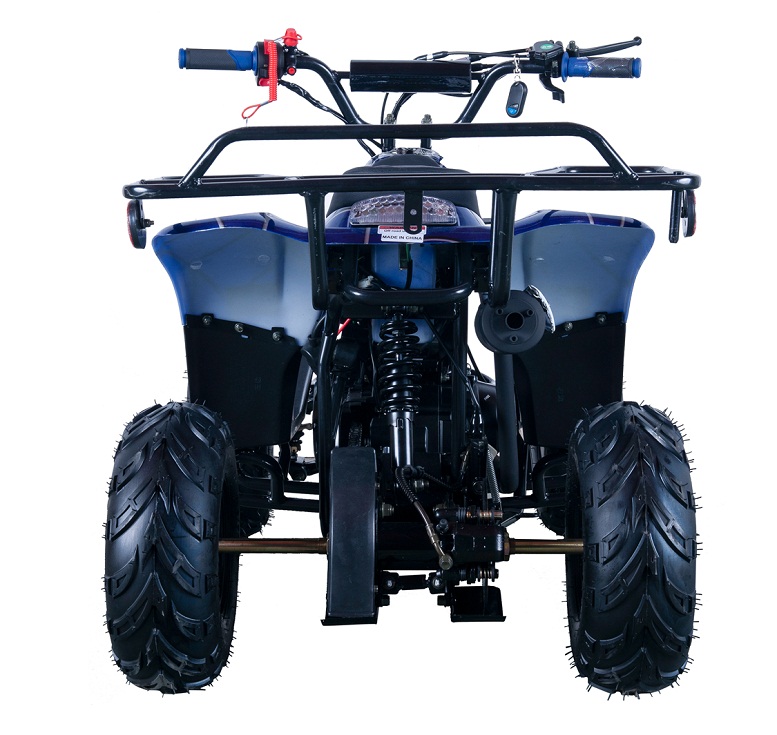 VITACCI HAWK-6 110CC ATV