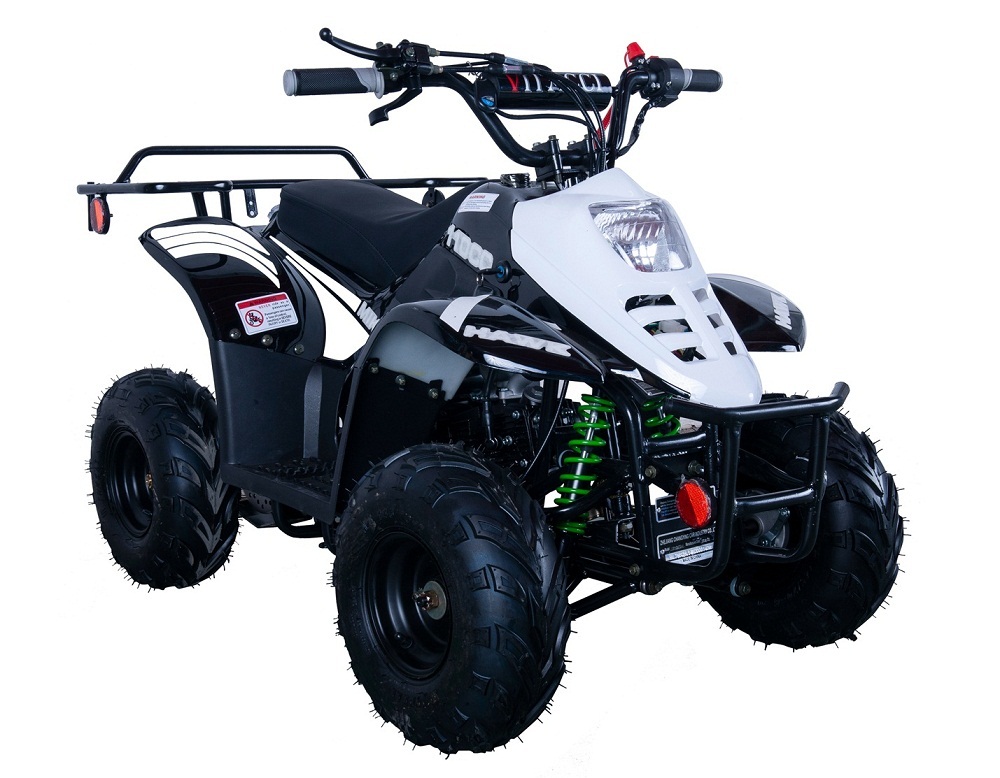 VITACCI HAWK-6 110CC ATV