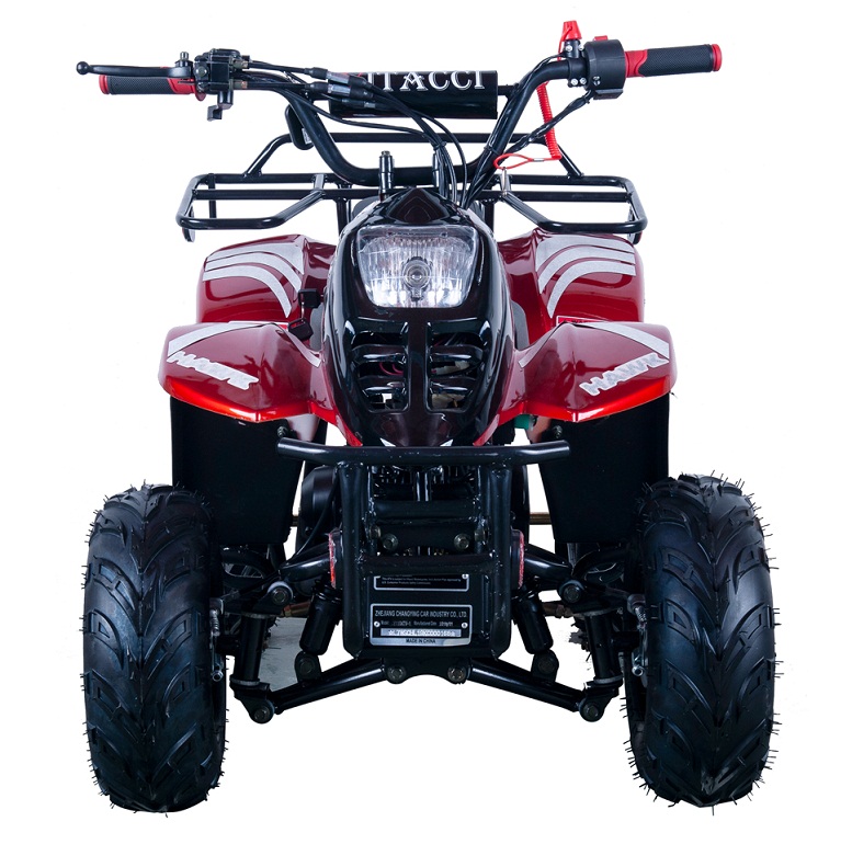 VITACCI HAWK-6 110CC ATV