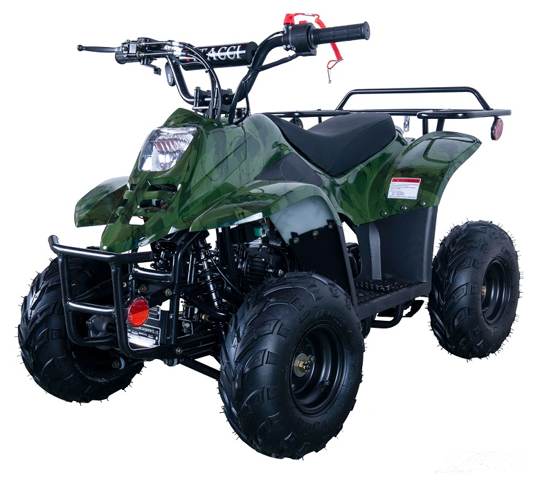 VITACCI HAWK-6 110CC ATV