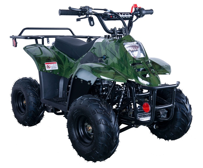 VITACCI HAWK-6 110CC ATV