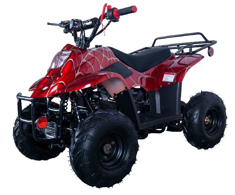 VITACCI HAWK-6 110CC ATV