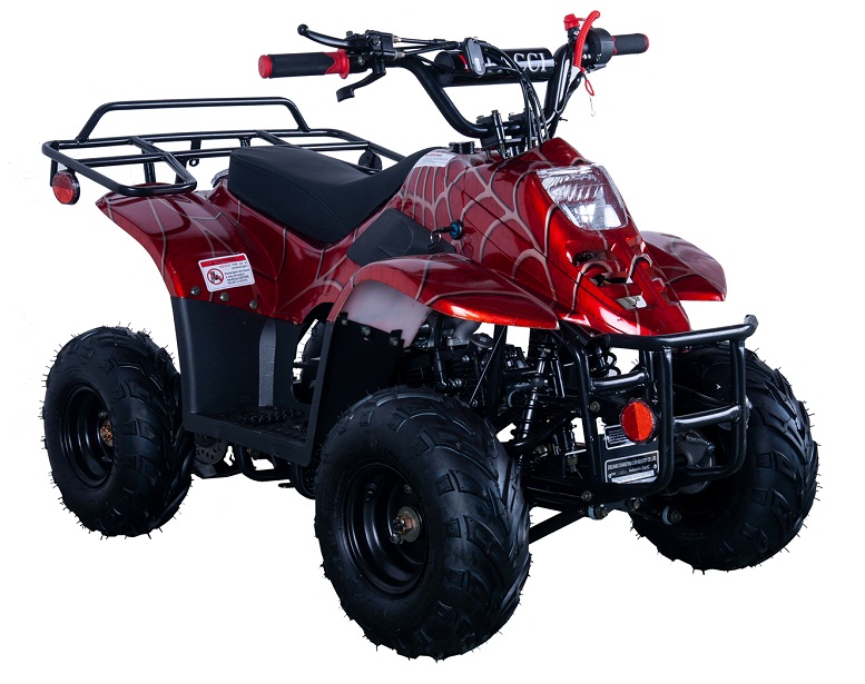 VITACCI HAWK-6 110CC ATV