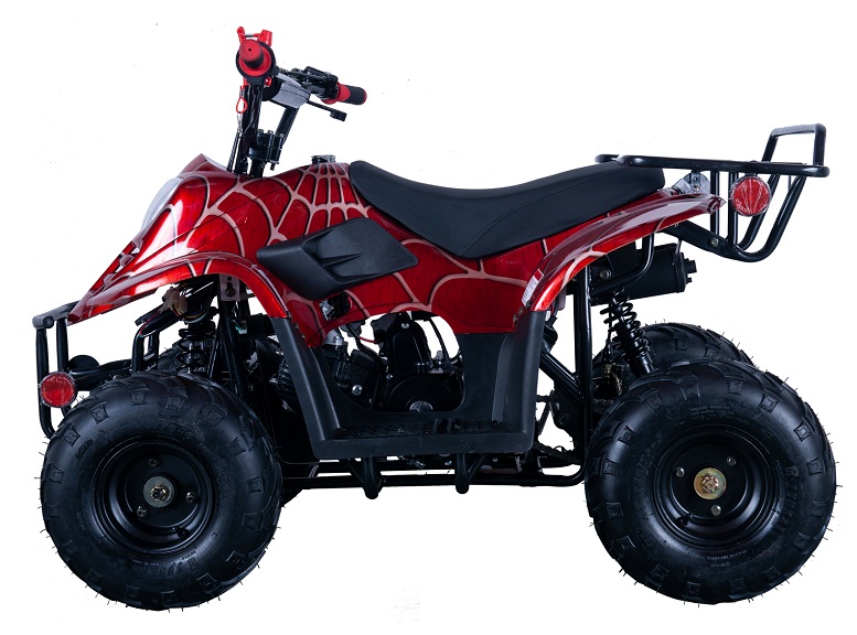 VITACCI HAWK-6 110CC ATV