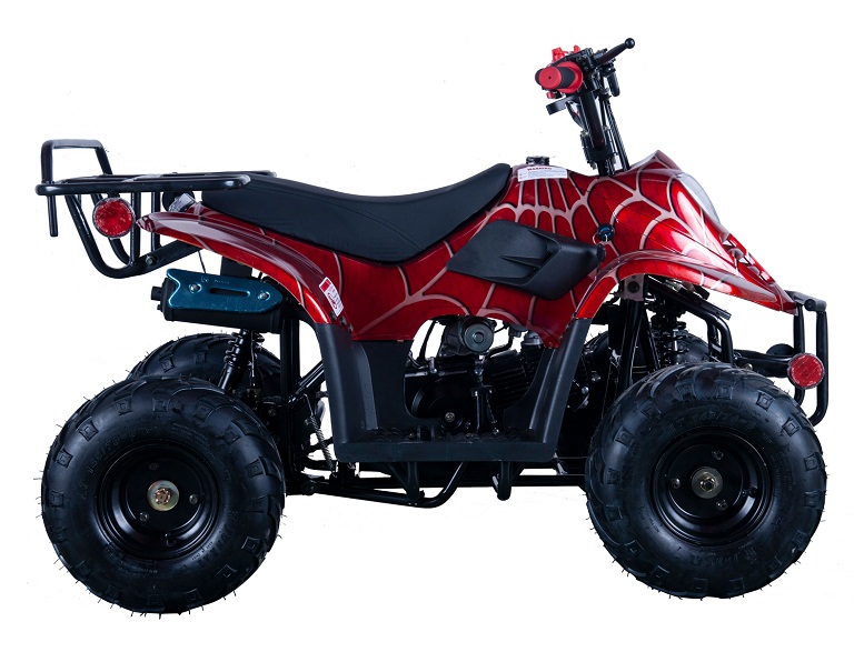 VITACCI HAWK-6 110CC ATV