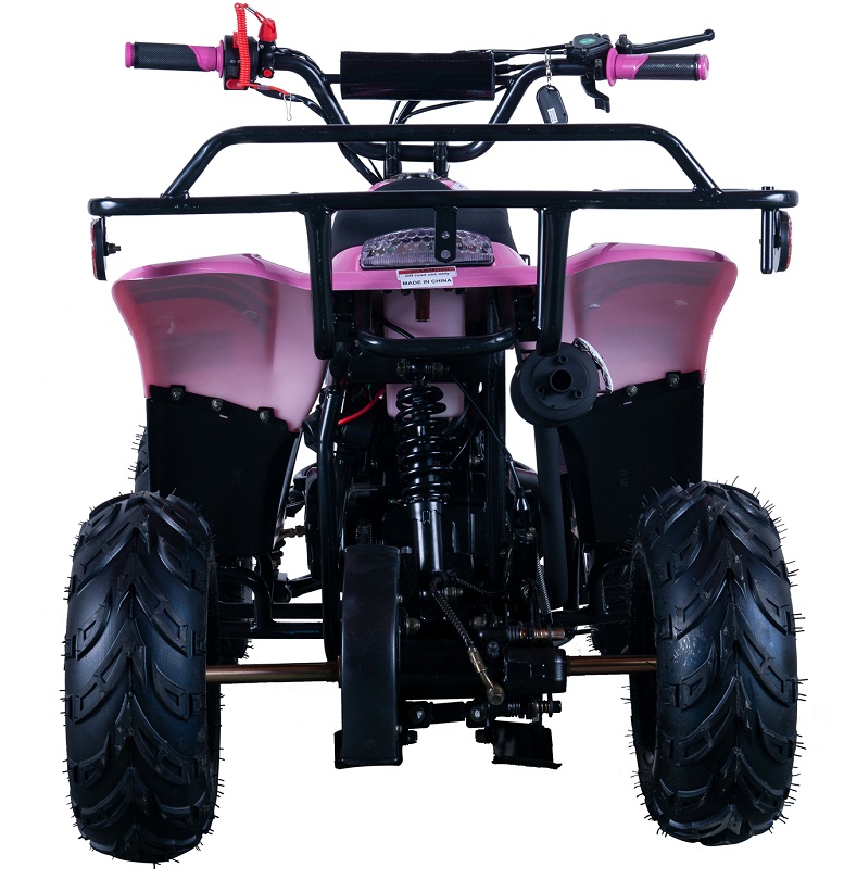 VITACCI HAWK-6 110CC ATV