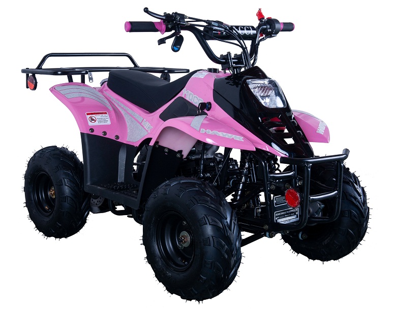 VITACCI HAWK-6 110CC ATV