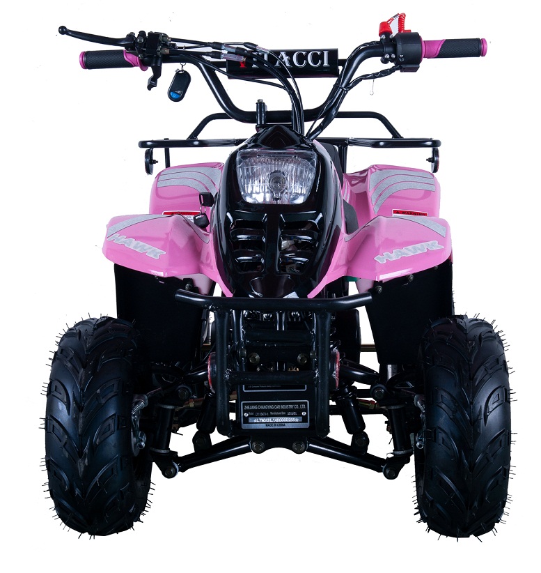 VITACCI HAWK-6 110CC ATV