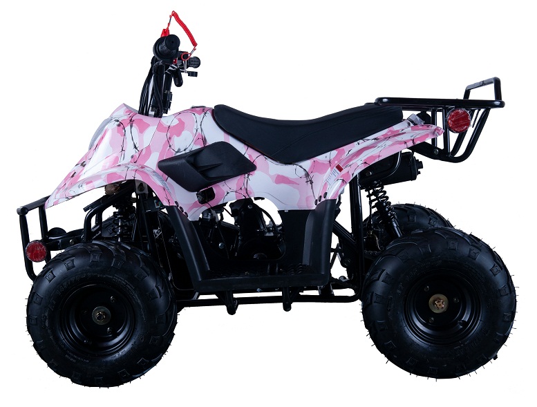 VITACCI HAWK-6 110CC ATV