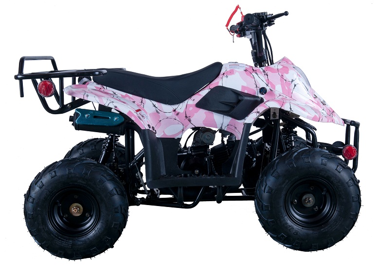 VITACCI HAWK-6 110CC ATV