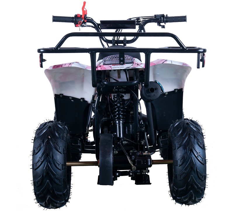 VITACCI HAWK-6 110CC ATV