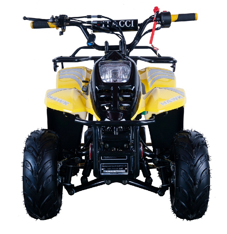 VITACCI HAWK-6 110CC ATV