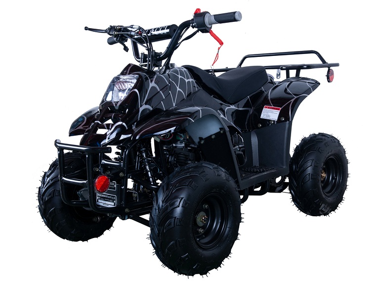 VITACCI HAWK-6 110CC ATV